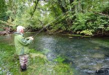 Sweet Fly-fishing Situation of Brown trout - Photo shared by Uros Kristan from Bistra and Ljubija River – Fly dreamers 