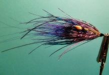 Fly for Steelhead - Picture shared by Jack Denny – Fly dreamers