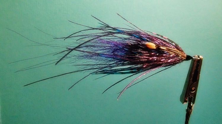 Len Handler inspired steelhead and trout fly. Len has a great SBS on this fly, I just gave it my interpretation. I do not tye freshwater flys much but this was so cool. 