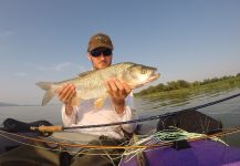  Fotografía de Pesca con Mosca de Aspius vorax por Henrik Megyer – Fly dreamers 