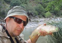 Fly-fishing Pic of German brown shared by Mihalis Mihalis – Fly dreamers 