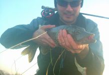  Situación de Pesca con Mosca de Lucio – Por Henrik Megyer en Fly dreamers