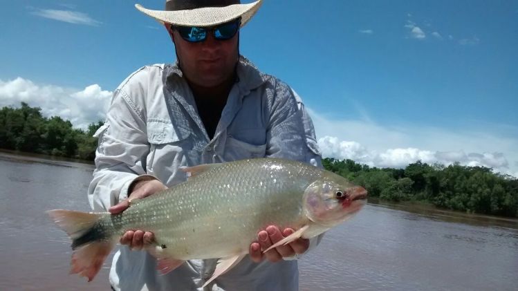 Salmoncito, con el parana detonado!!!