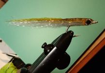 Fly-tying for False Albacore - Little Tunny - Image by Jack Denny 