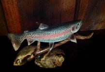 Jim Wiley's Cool Fly-fishing Art Picture – Fly dreamers 
