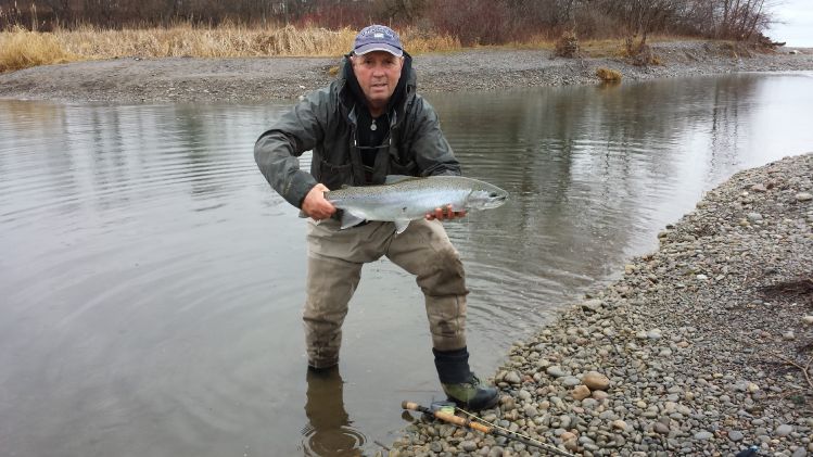 steelhead en Toronto con jig stone fly de patas de goma