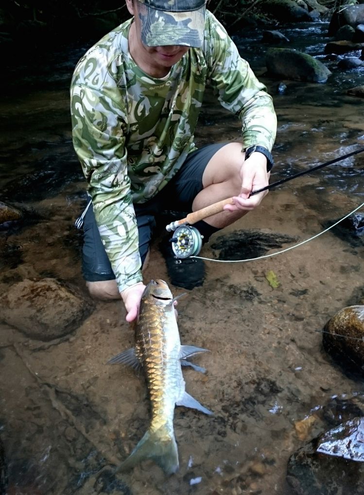 Nakarin Phunghansaporn brings a Mahseer to hand on a small stream in the Thai jungle.