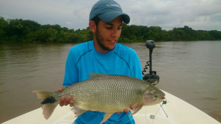 Pirá Pitá con mosca seca en Ituzaingo  Corrientes.