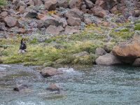 Foto de pesca con mosca