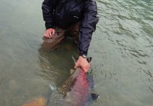 Juan Manuel Biott 's Fly-fishing Picture of a Blackmouth Salmon – Fly dreamers 