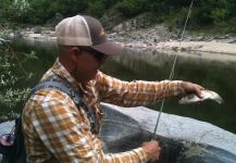 Anguel Dimitrov 's Fly-fishing Picture of a Chub – Fly dreamers 