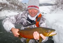  Situación de Pesca con Mosca de Brownie – Por Scott Marr en Fly dreamers