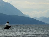 En el lago, el gallego 