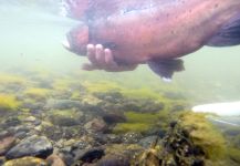 Upper Owens River, Benton Crossing, California, United States