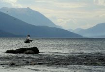 Fly-fishing Situation of salmo salar - Image shared by Luis San Miguel – Fly dreamers