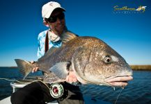 Fly-fishing Pic of Black Drum shared by Capt. Brandon Keck – Fly dreamers 