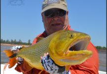 Horacio Fernandez 's Fly-fishing Catch of a Dorados – Fly dreamers 