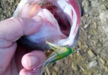  Fotografía de Pesca con Mosca de achiga por LUIS SÁNCHEZ ANAYA – Fly dreamers 