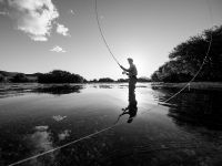 Fly fishing picture