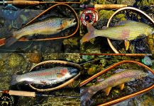 Musicarenje.net  Cicko Murino 's Sweet Fly-fishing Pic – Fly dreamers 