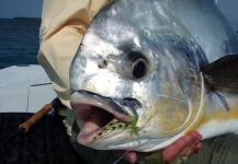  Imagen de Pesca con Mosca de Permit por Mike Wilbur – Fly dreamers