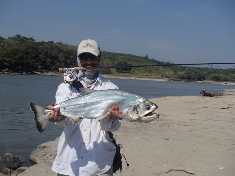 La primer payara. Así como la ven me abrió los dedos con la corrida