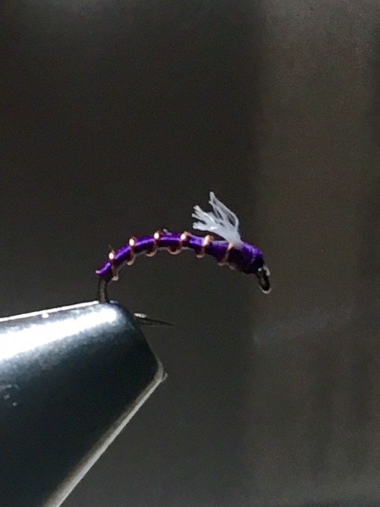 #20 fly currents purple midge emerger