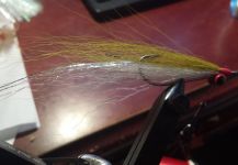 David Bullard 's Fly for Barracuda - – Fly dreamers 