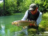 Fly fishing picture