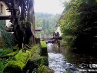 Fly fishing picture