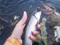 Foto de pesca con mosca