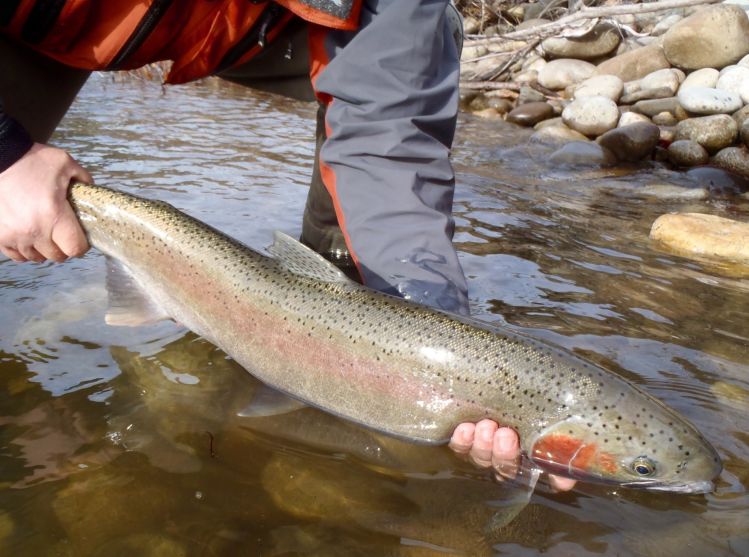 Clearwater River