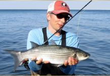 Fly Fishing Mullet