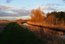 River Torne, Yorkshire, United Kingdom