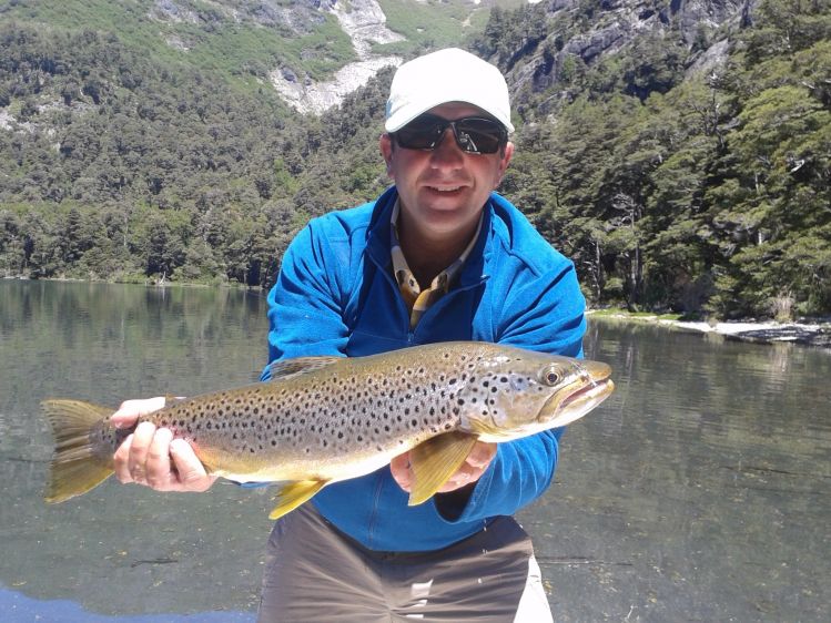 Lago tromem  trucha marron pescada con mosca seca adans parayute en 14 y tipex 5x    
A pez visto en la playa debajo de un tronco 