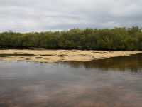 Fly fishing picture