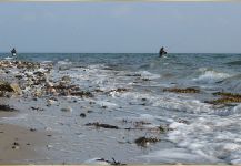 Fly Fishing Coastal Sea trout