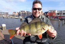  Captura de Pesca con Mosca de Perca Europea por Gerben Heijdt – Fly dreamers