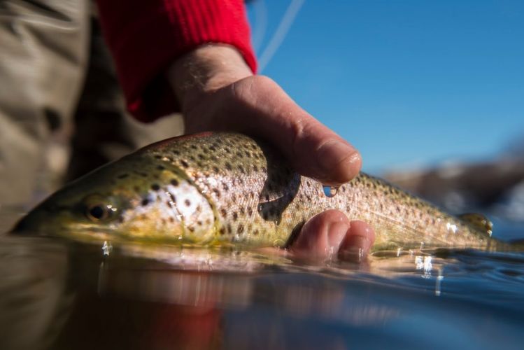 Spring on the Eagle river