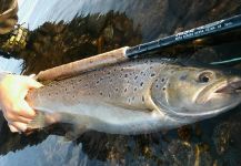  Fotografía de Pesca con Mosca de Salmo trutta por Jonatan Rodriguez – Fly dreamers