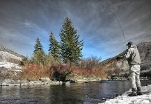 Fly-fishing Situation of Loch Leven trout German - Photo shared by Fly Fishing Outfitters – Fly dreamers 