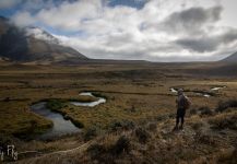 Rainbow trout Fly-fishing Situation – Peter Broomhall shared this Pic in Fly dreamers 