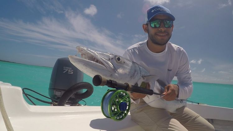 Barracuda (+20lbs) Capturada en Los Roques