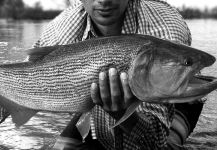 Fly-fishing Picture of Dorado shared by Leandro Ferreyra – Fly dreamers