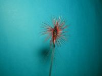 Fly view from below