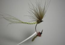 Agostino Roncallo 's Fly-tying for Salvelinus fontinalis - Pic – Fly dreamers 