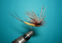 Agostino Roncallo 's Fly for English trout - Picture – Fly dreamers 