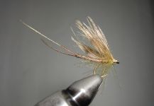 Agostino Roncallo 's Fly-tying for brown trout - Image – Fly dreamers 