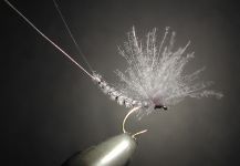 Agostino Roncallo 's Fly-tying for Brown trout - Picture – Fly dreamers 