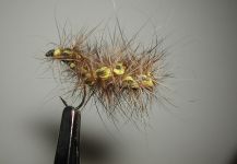 Fly for Brown trout shared by Agostino Roncallo – Fly dreamers 